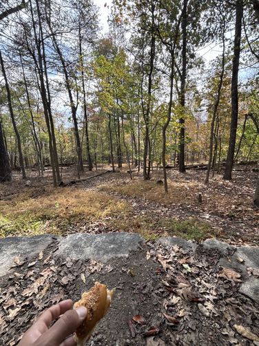 Picture 3 of Lesser Shelter Hike
