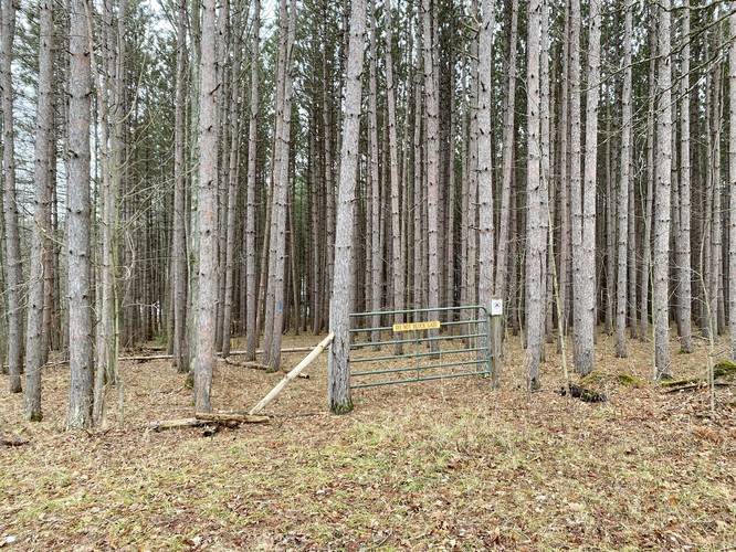 Trailhead for the Blue Loop Trail that leads to Levi Pond