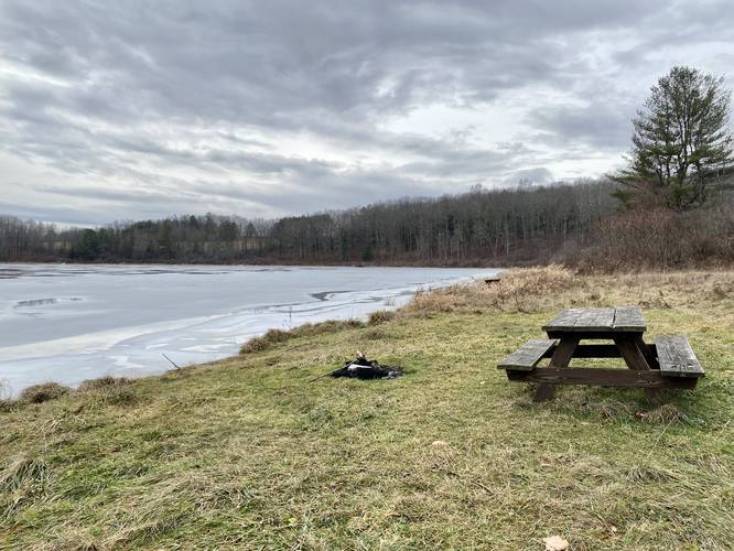 Picnic table and grill area next to Levi Pond (aka Addison Pond)