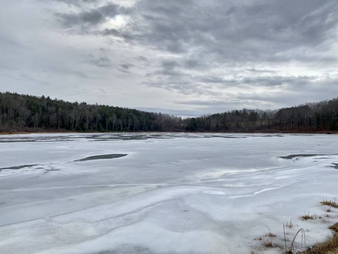 View of Levi Pond (aka Addison Pond)