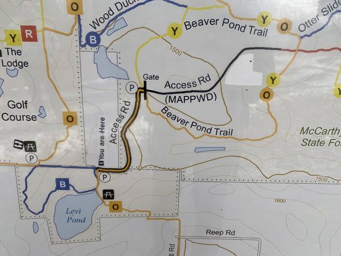 Area trail map of Levi Pond (Blue Loop Trail) and surrounding trails at the park