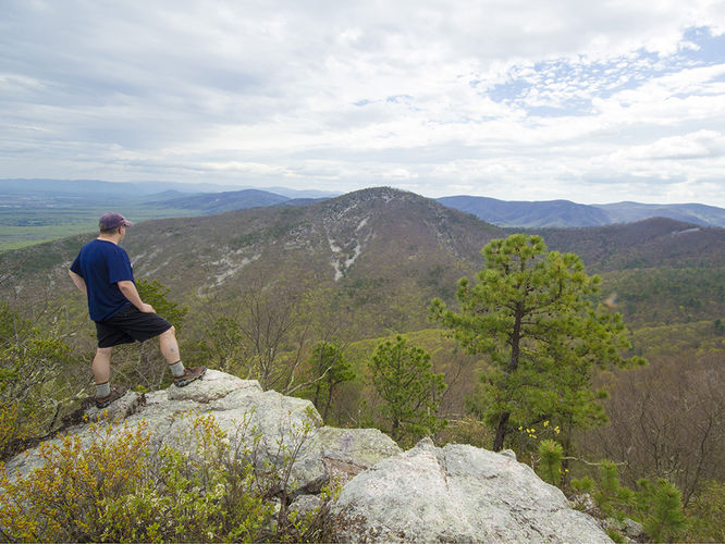 Lewis Peak Hike - Lewis Peak Hike 042917 album