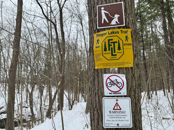FLT rules at Sweedler Preserve
