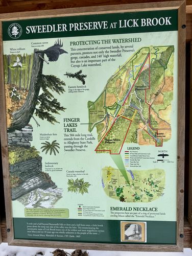 Lick Brook Gorge info