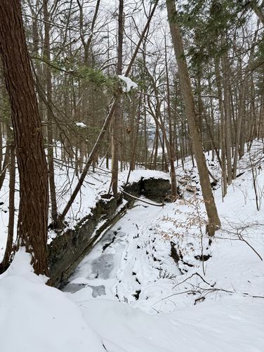 View into upper Lick Hollow Gorge