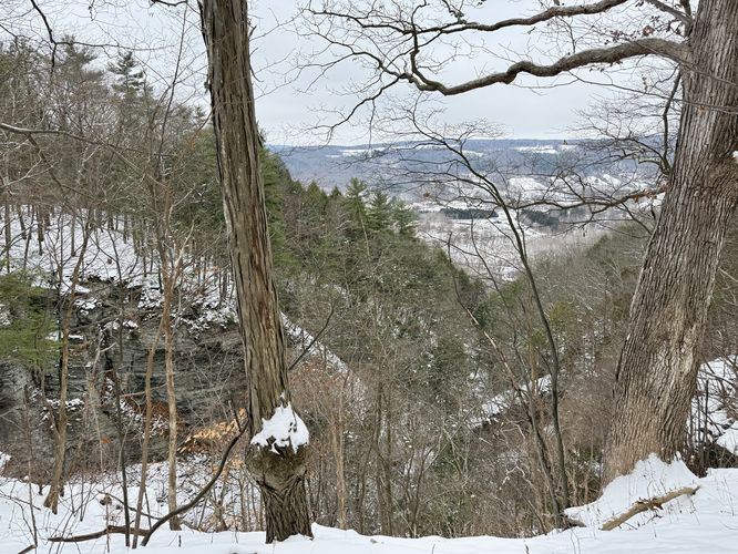 Obstructed seasonal view above Lick Brook Gorge