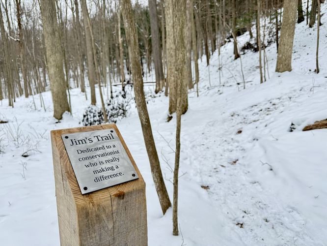 Jim's Trail leads back up Lick Brook Hollow
