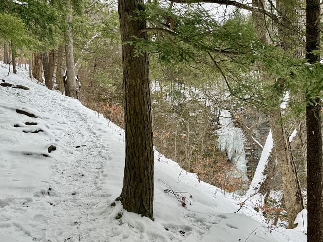 Obstructed view from the trail of the 90-foot tall Lick Brook Falls, frozen