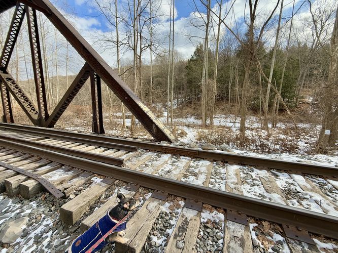 Cross the train tracks