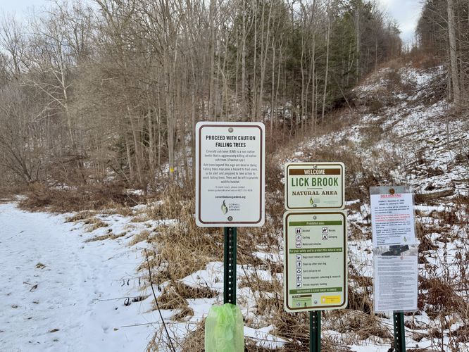 Entering Lick Brook Natural Area