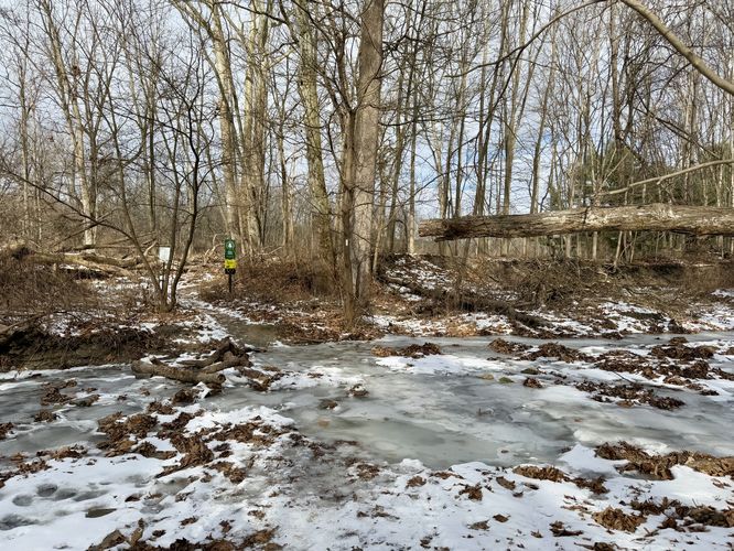 Creek crossing
