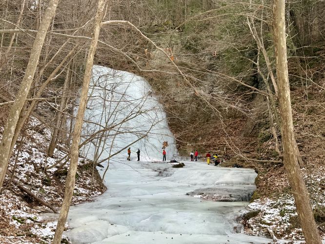 Default image for Lick Brook Falls via FLT, a 1.9-mile trail in Ithaca, NY (US)