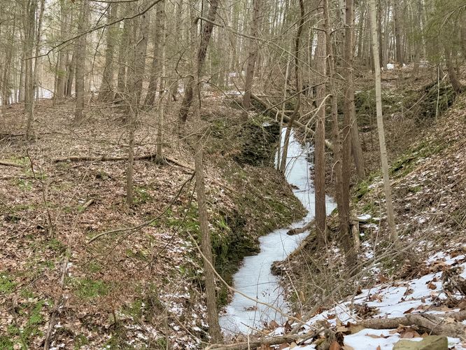 Picture 14 of Lick Brook Falls via FLT