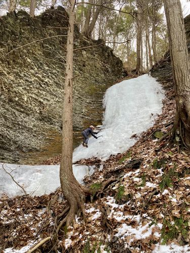 Picture 22 of Lick Brook Falls via FLT