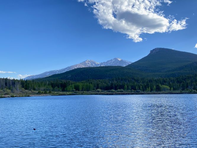 View of Lily Lake, Mount Meeker, Longs Peak, and Estes Cone