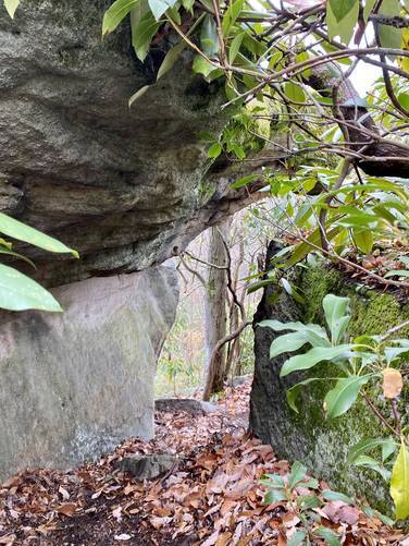 Under Balancing Rock Overlook
