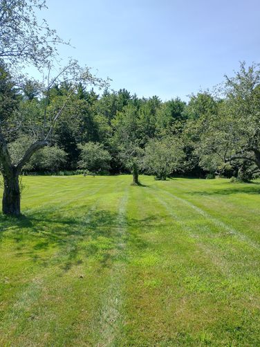 Lindabury Trail and Orchard Loop - Lindabury Orchard Trails album