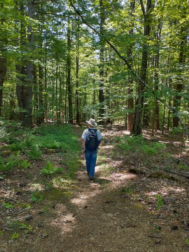 The Orchard Loop Trail  through the woods