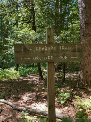 Signage at trail juction
