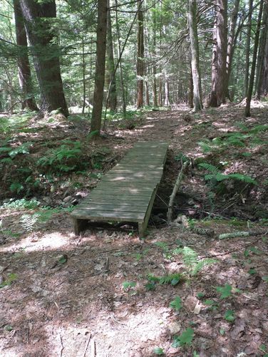 Wooden Bridge on the Lindabury Trail 