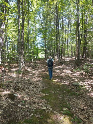 The Orchard Loop Trail widens out as you approach the Orchard to exit the woods