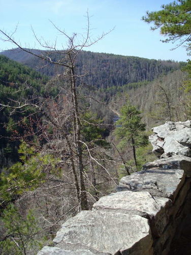 Picture 18 of Linville Falls Hike 040410