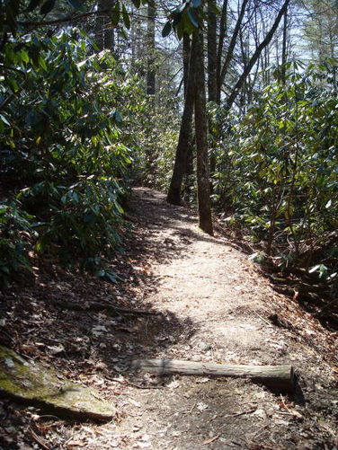 Picture 24 of Linville Falls Hike 040410