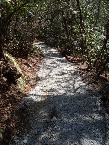 Picture 25 of Linville Falls Hike 040410