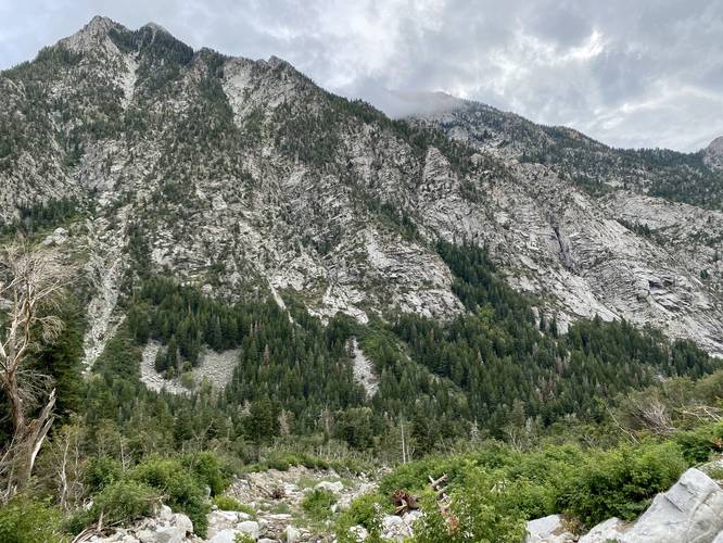 View into Little Cottonwood Canyon from Lisa Falls