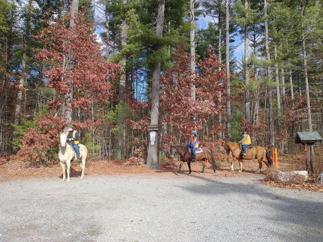 Horseback Riding is allowed here.