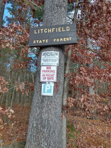Forest sign.