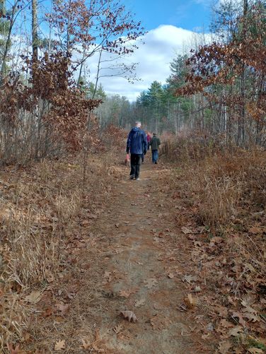 Litchfield State Forest Trail  - Litchfield State Forest Trail  album