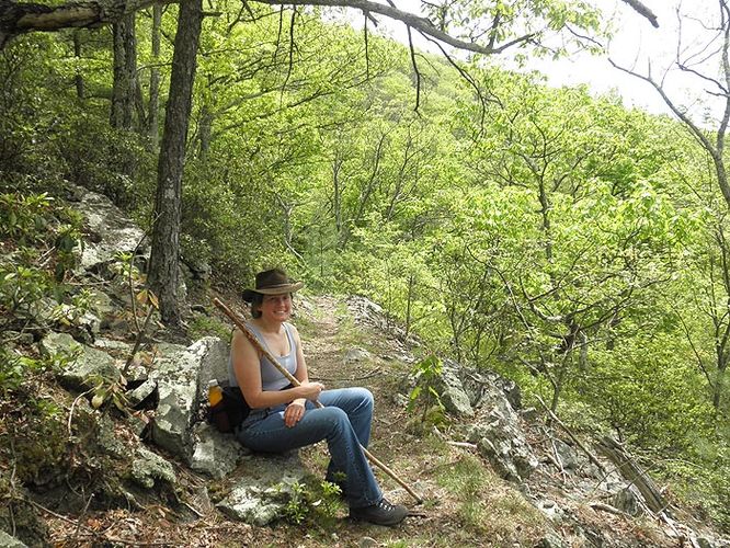 Picture 7 of Little Bald Knob Ridge Hike 050710