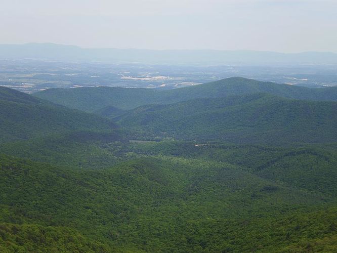 Picture 1 of Little Bald Knob Ridge Hike 050710