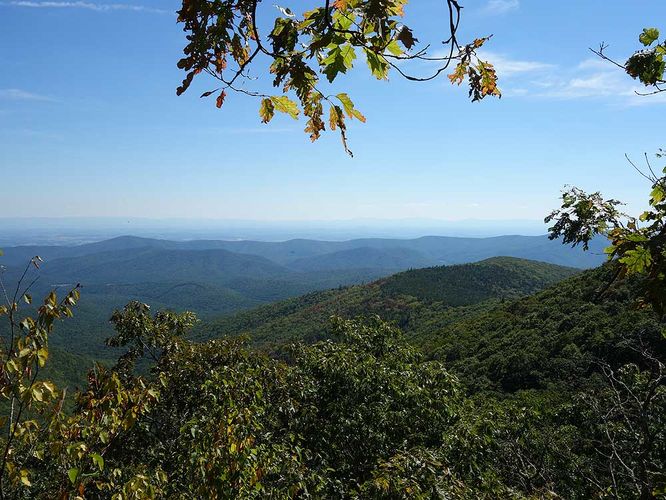 Picture 11 of Little Bald Knob Ridge Hike091915