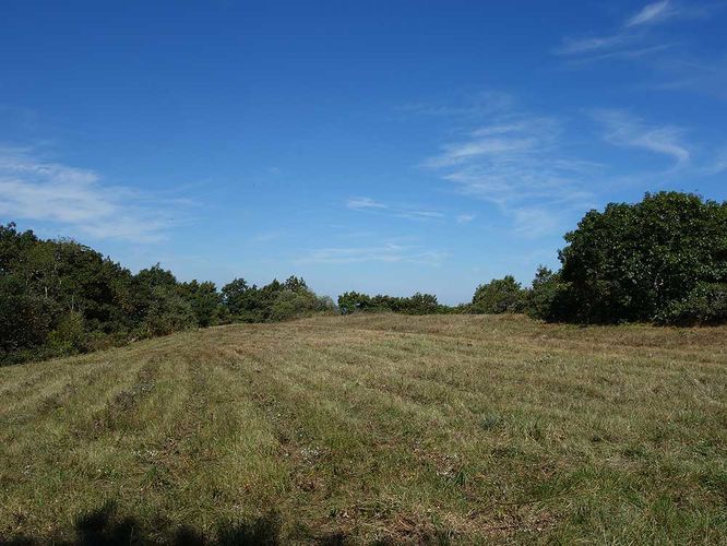 Picture 8 of Little Bald Knob Ridge Hike091915