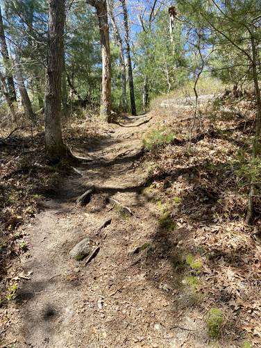 Steep hills at Little Bay