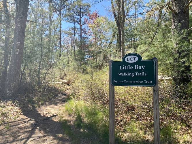 Little Bay trails trailhead