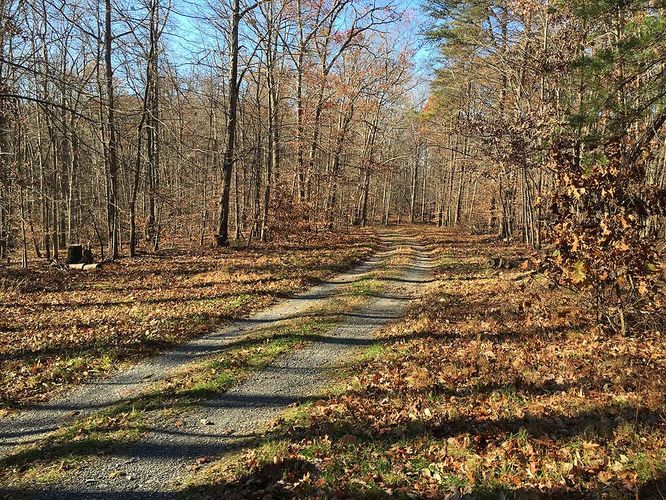 Default image for Little Bennett South Loop Hike, a 5.5-mile trail in Clarksburg, MD (US)