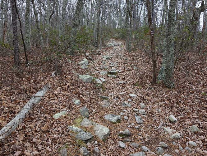 Picture 11 of Little Crease Mountain Hike 012717