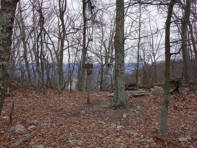 Picture 10 of Little Crease Mountain Hike 012717
