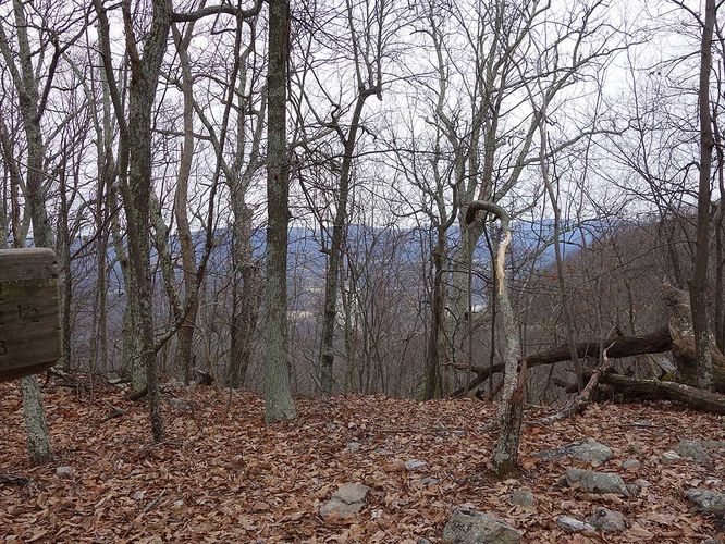 Picture 9 of Little Crease Mountain Hike 012717