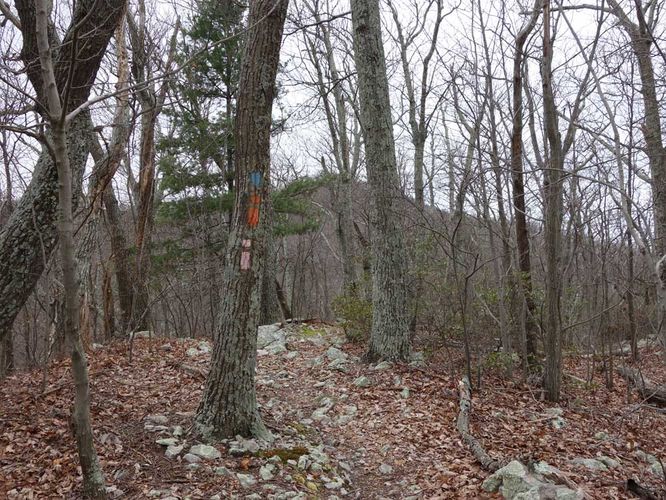 Picture 8 of Little Crease Mountain Hike 012717