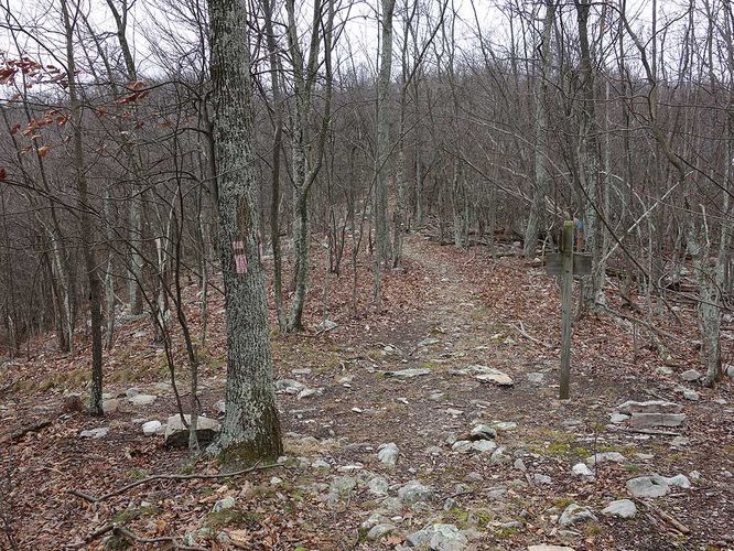 Picture 6 of Little Crease Mountain Hike 012717