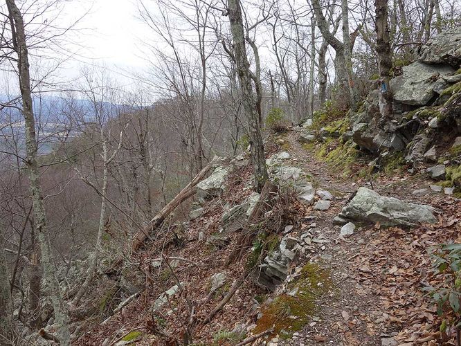 Picture 5 of Little Crease Mountain Hike 012717