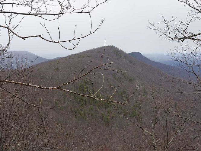 Default image for Little Crease Mountain Hike, a 8.9-mile trail in Fort Valley, VA (US)