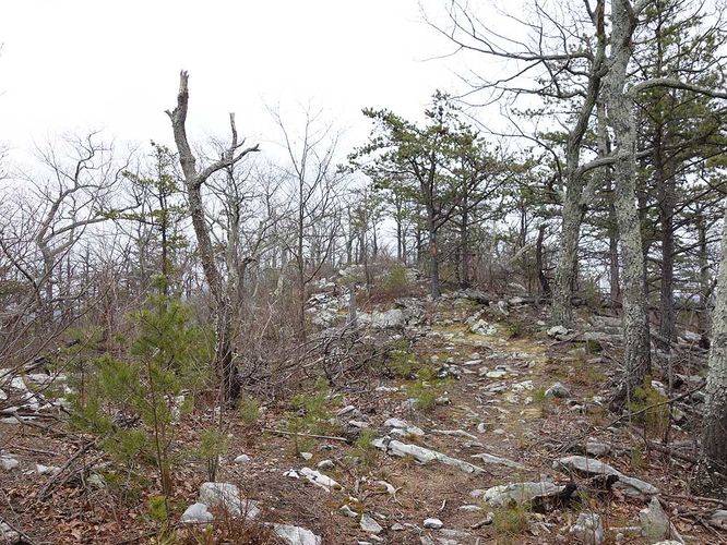 Picture 4 of Little Crease Mountain Hike 012717