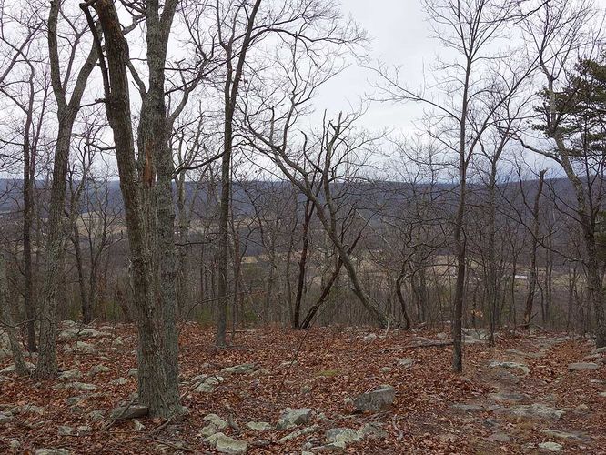 Picture 2 of Little Crease Mountain Hike 012717