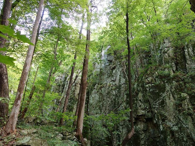 Picture 2 of Little Devils Stairs Hike 072916