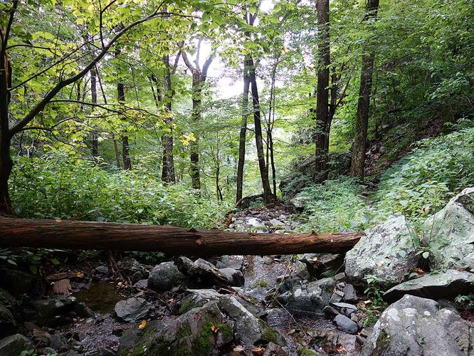 Picture 4 of Little Devils Stairs Hike 072916